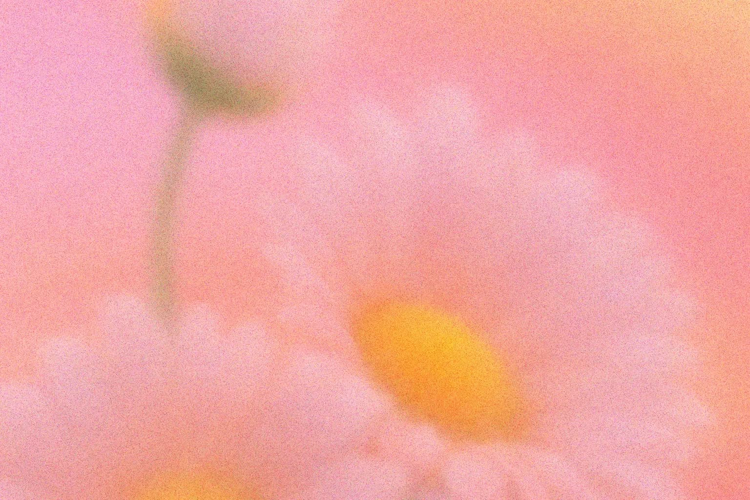 Sharing AI workflows with your team